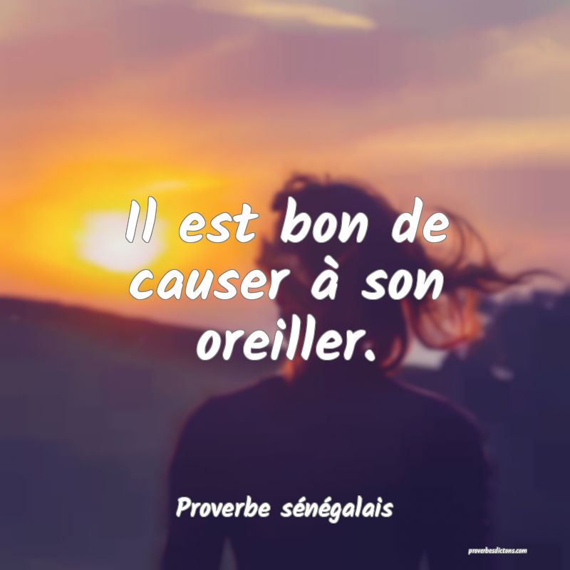  Il est bon de causer à son oreiller.