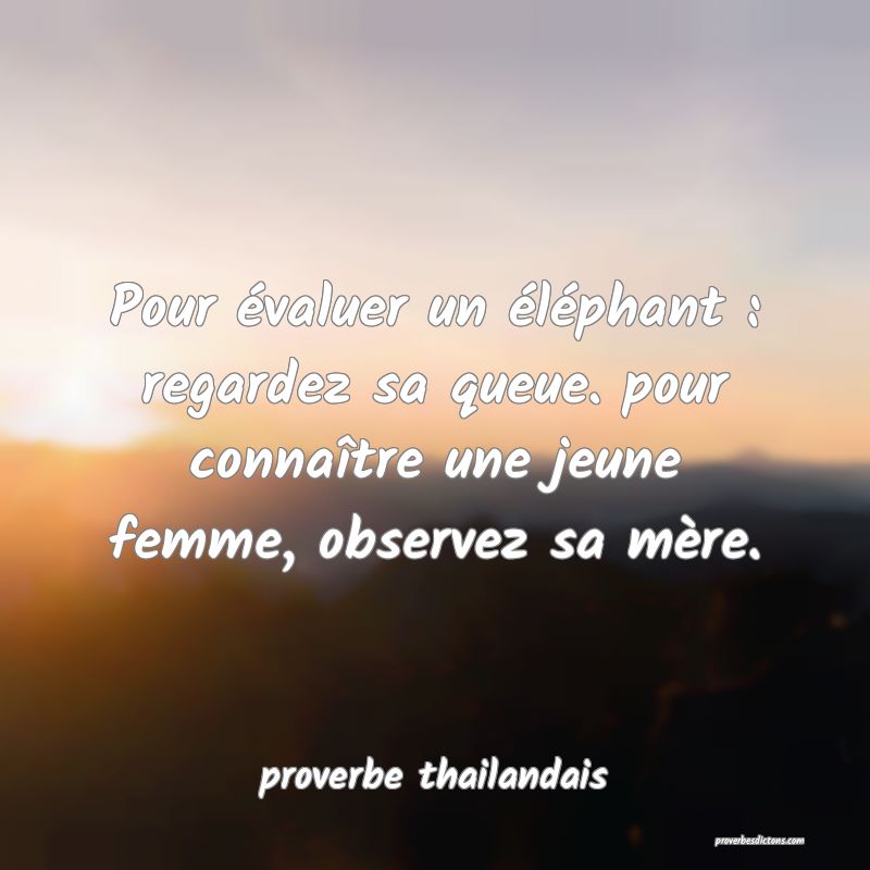  Pour évaluer un éléphant : regardez sa queue. pour connaître une jeune femme, observez sa mère.