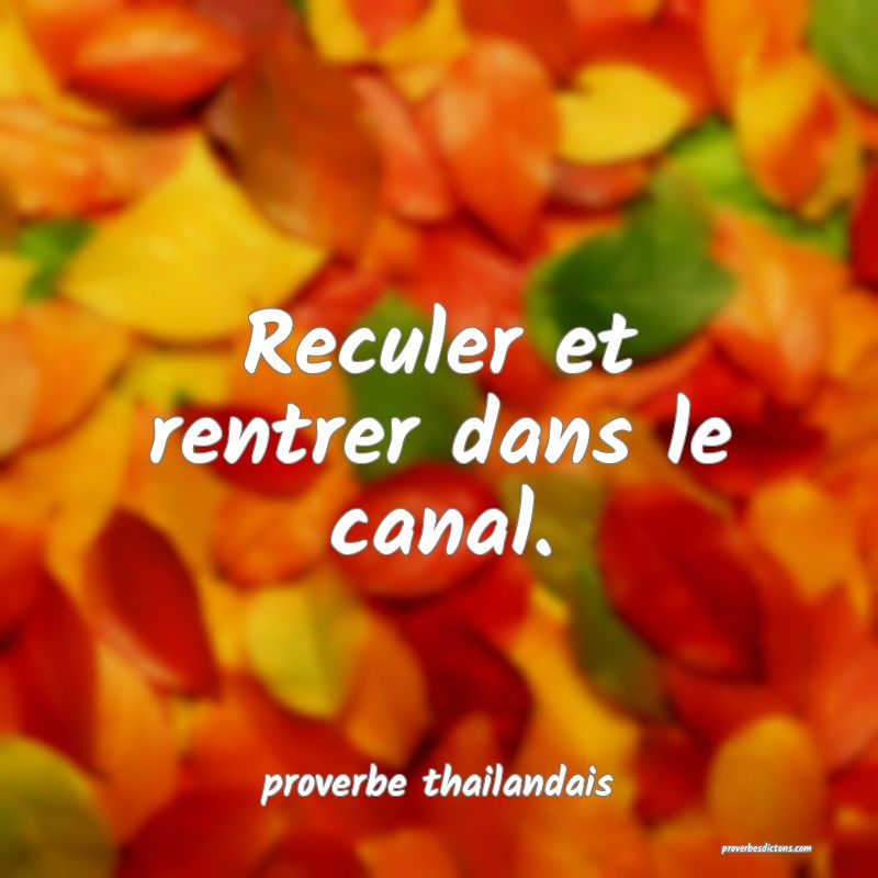  Reculer et rentrer dans le canal.