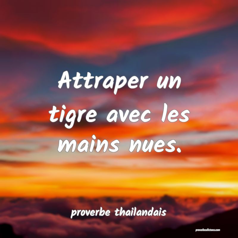  Attraper un tigre avec les mains nues.