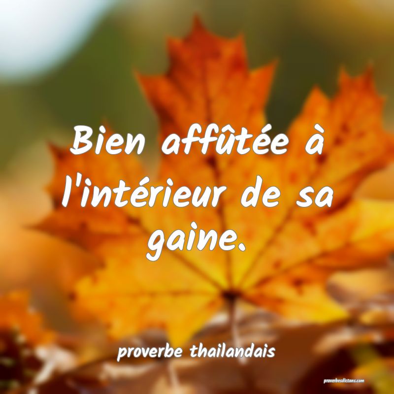 Bien affûtée à l'intérieur de sa gaine.