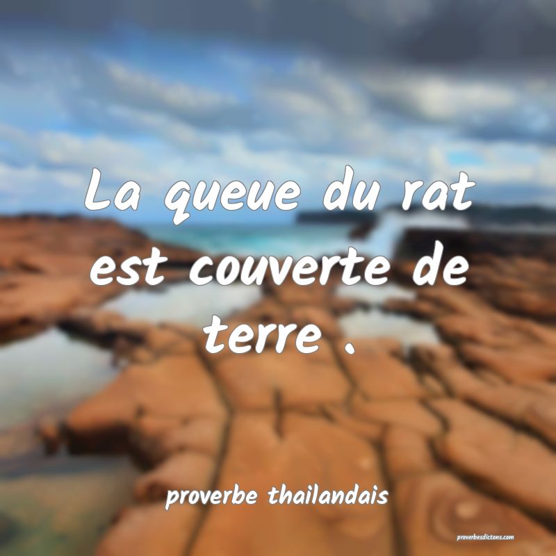  La queue du rat est couverte de terre .