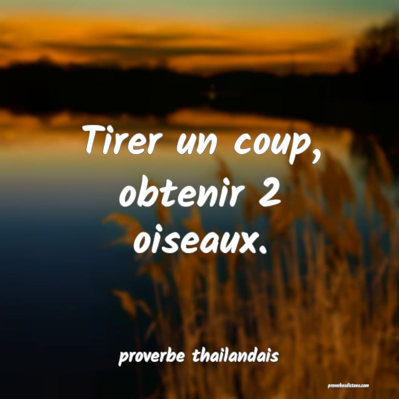  Tirer un coup, obtenir 2 oiseaux.