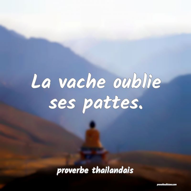  La vache oublie ses pattes.