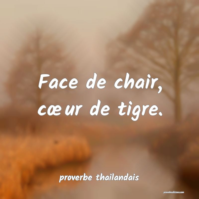Face de chair, cœur de tigre.