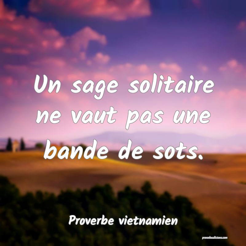  Un sage solitaire ne vaut pas une bande de sots.