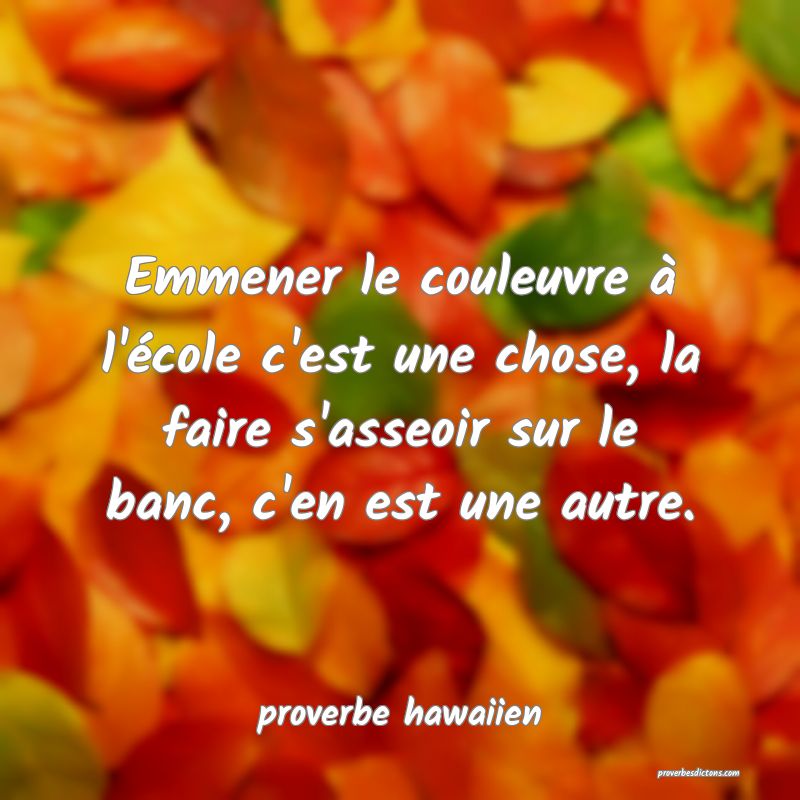  Emmener le couleuvre à l'école c'est une chose, la faire s'asseoir sur le banc, c'en est une autre.