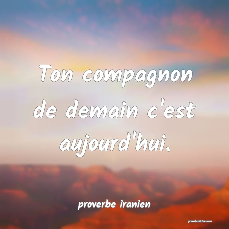  Ton compagnon de demain c'est aujourd'hui.