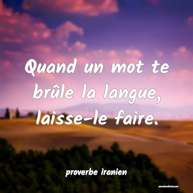  Quand un mot te brûle la langue, laisse-le faire.