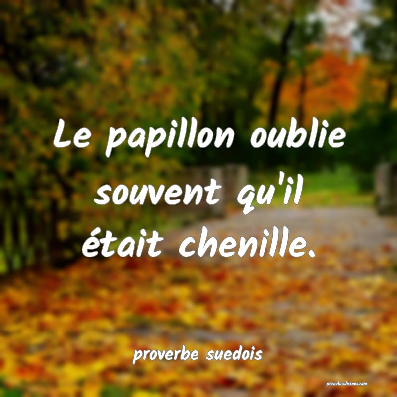  Le papillon oublie souvent qu'il était chenille.
