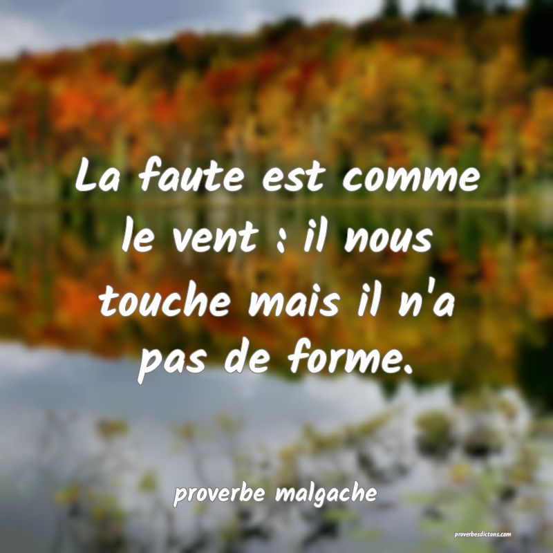  La faute est comme le vent : il nous touche mais il n'a pas de forme.