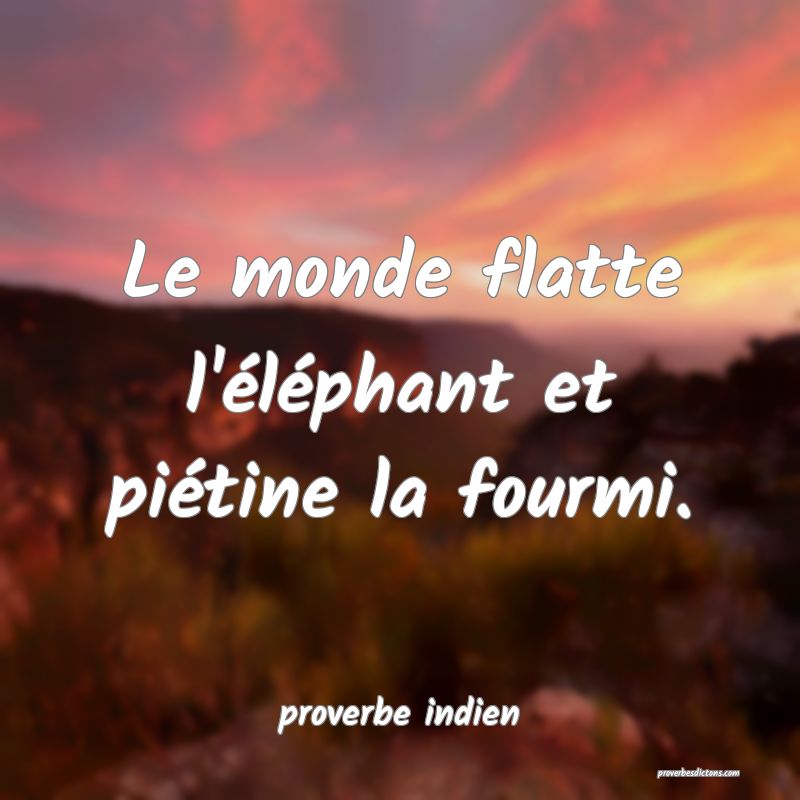  Le monde flatte l'éléphant et piétine la fourmi.