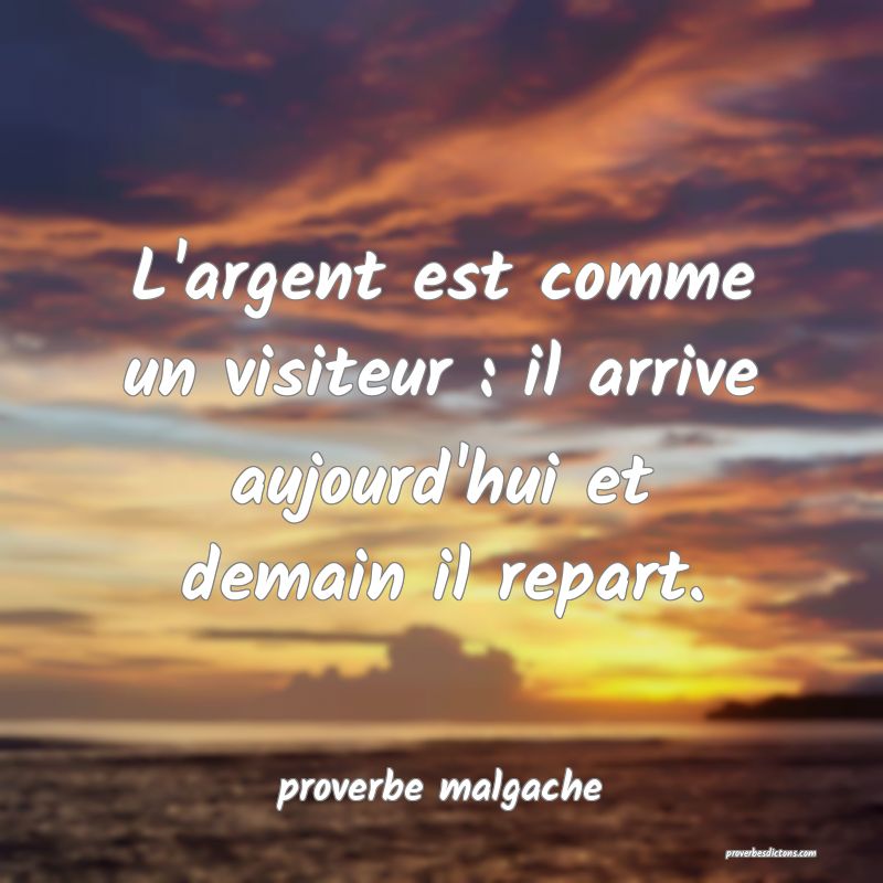  L'argent est comme un visiteur : il arrive aujourd'hui et demain il repart.
