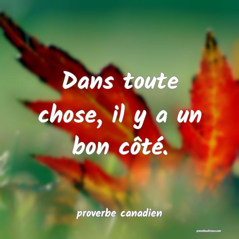  Dans toute chose, il y a un bon côté.