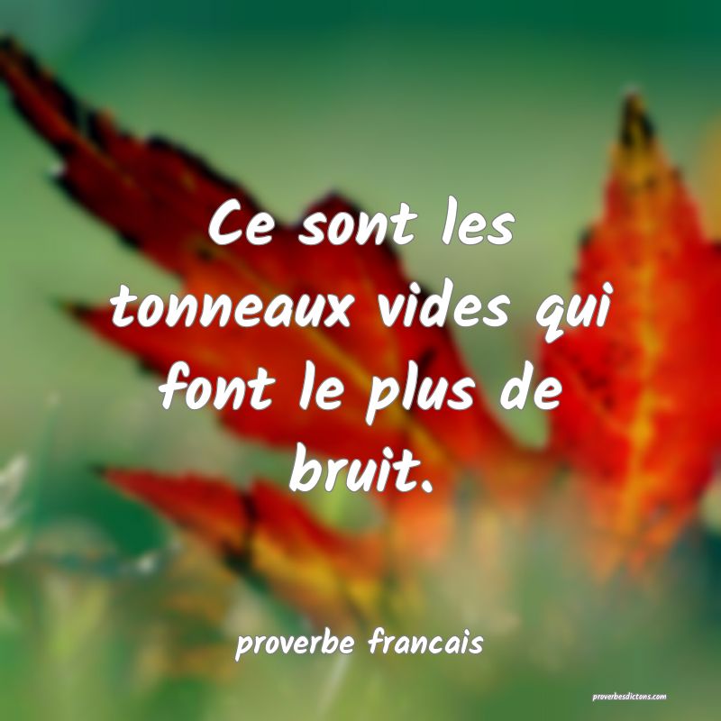  Ce sont les tonneaux vides qui font le plus de bruit.