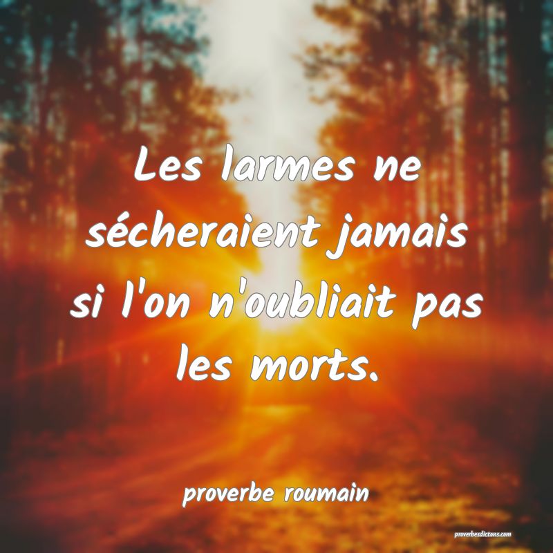 Les larmes ne sécheraient jamais si l'on n'oubliait pas les morts.