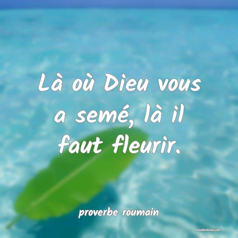  Là où Dieu vous a semé, là il faut fleurir.
