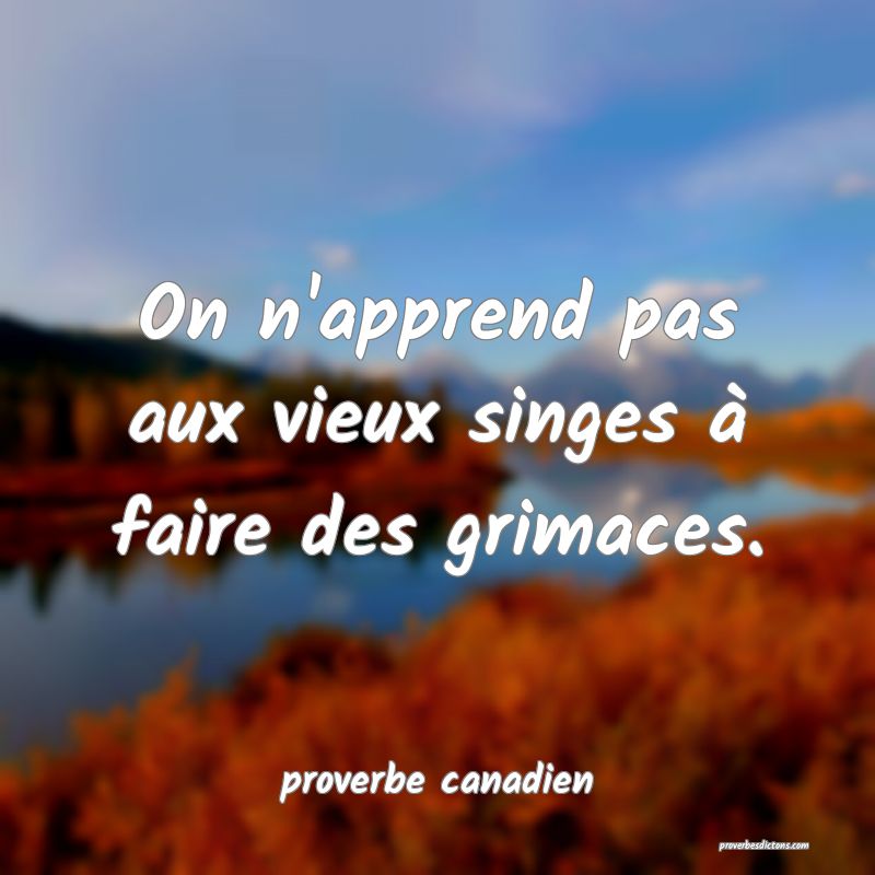  On n'apprend pas aux vieux singes à faire des grimaces.