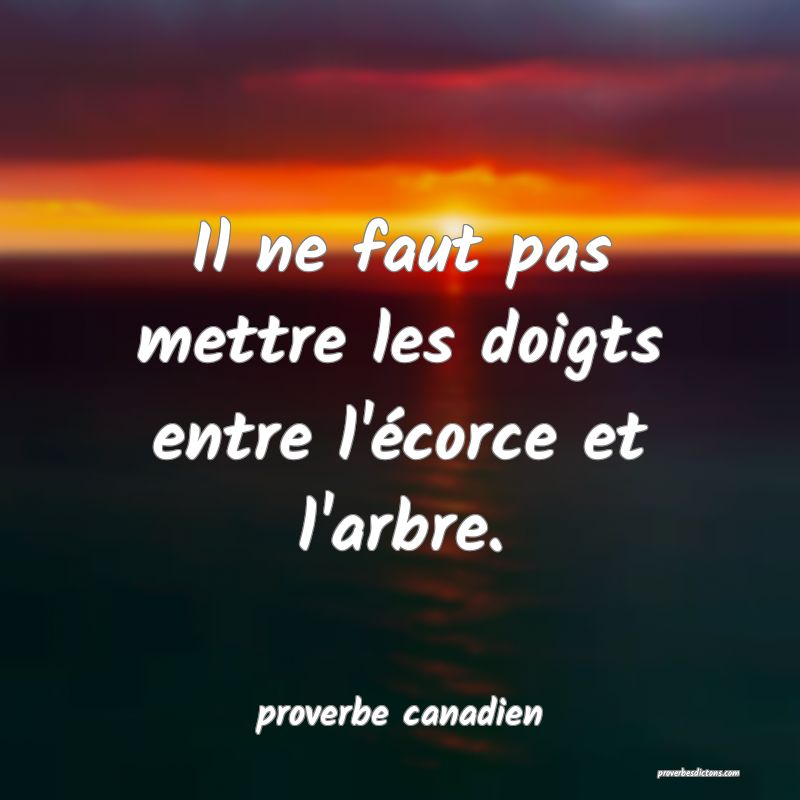  Il ne faut pas mettre les doigts entre l'écorce et l'arbre.