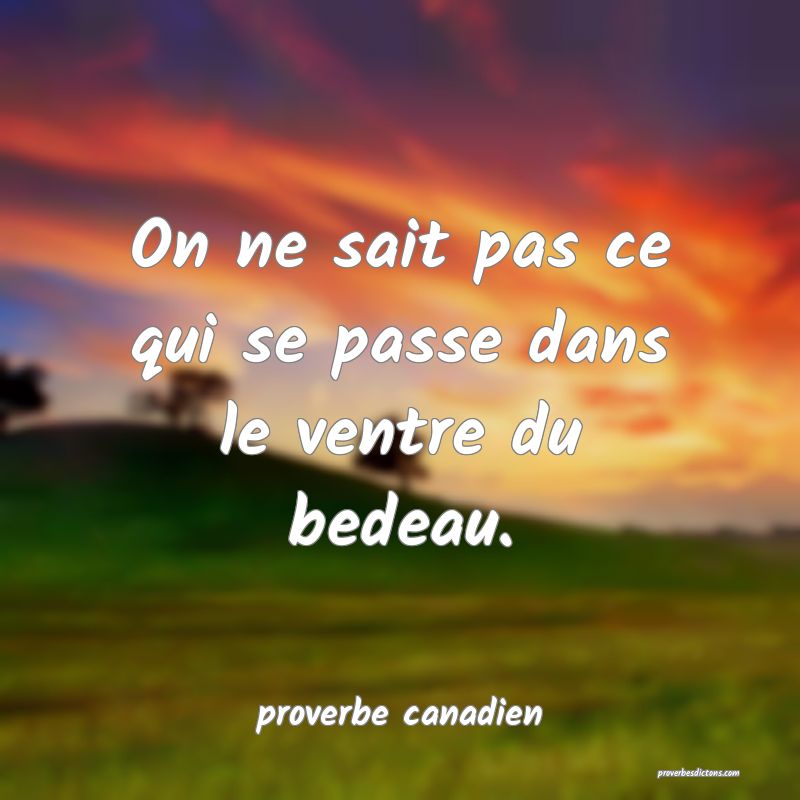  On ne sait pas ce qui se passe dans le ventre du bedeau.