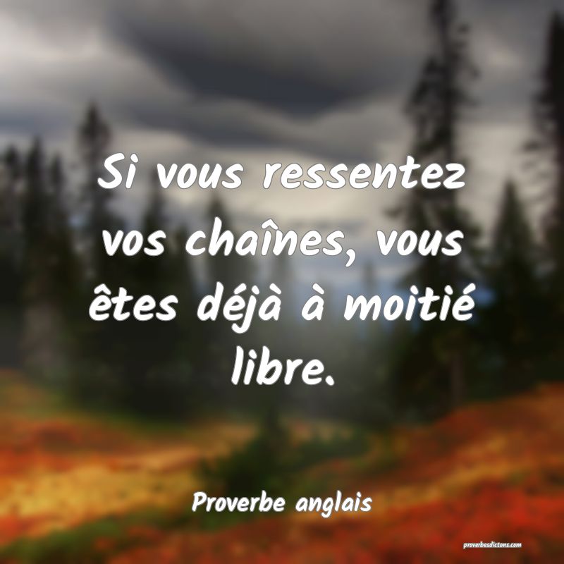  Si vous ressentez vos chaînes, vous êtes déjà à moitié libre.