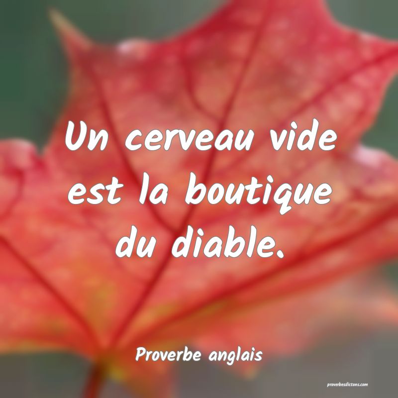  Un cerveau vide est la boutique du diable.