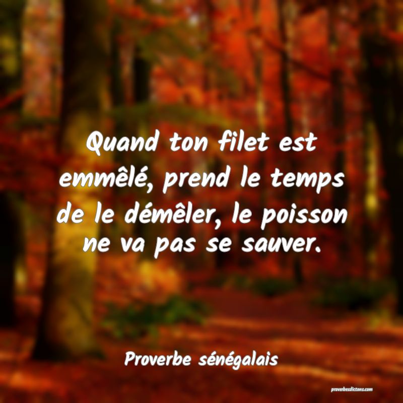  Quand ton filet est emmêlé, prend le temps de le démêler, le poisson ne va pas se sauver.