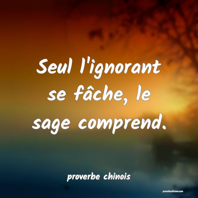 Seul l'ignorant se fâche, le sage comprend.