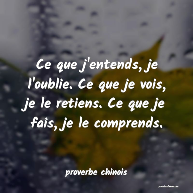 Ce que j'entends, je l'oublie. Ce que je vois, je le retiens. Ce que je fais, je le comprends. 