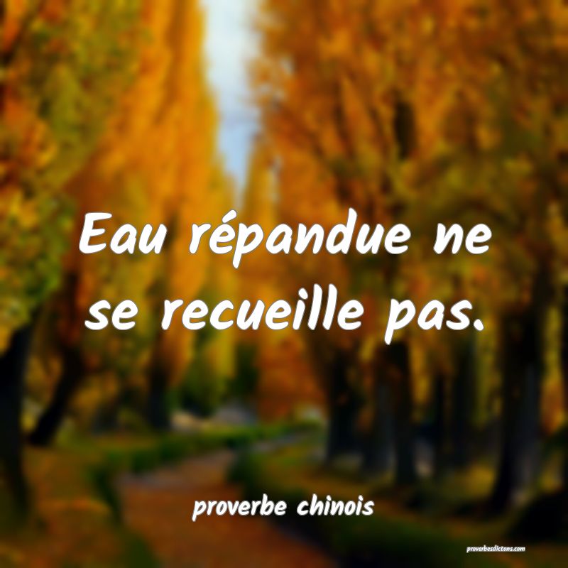  Eau répandue ne se recueille pas.