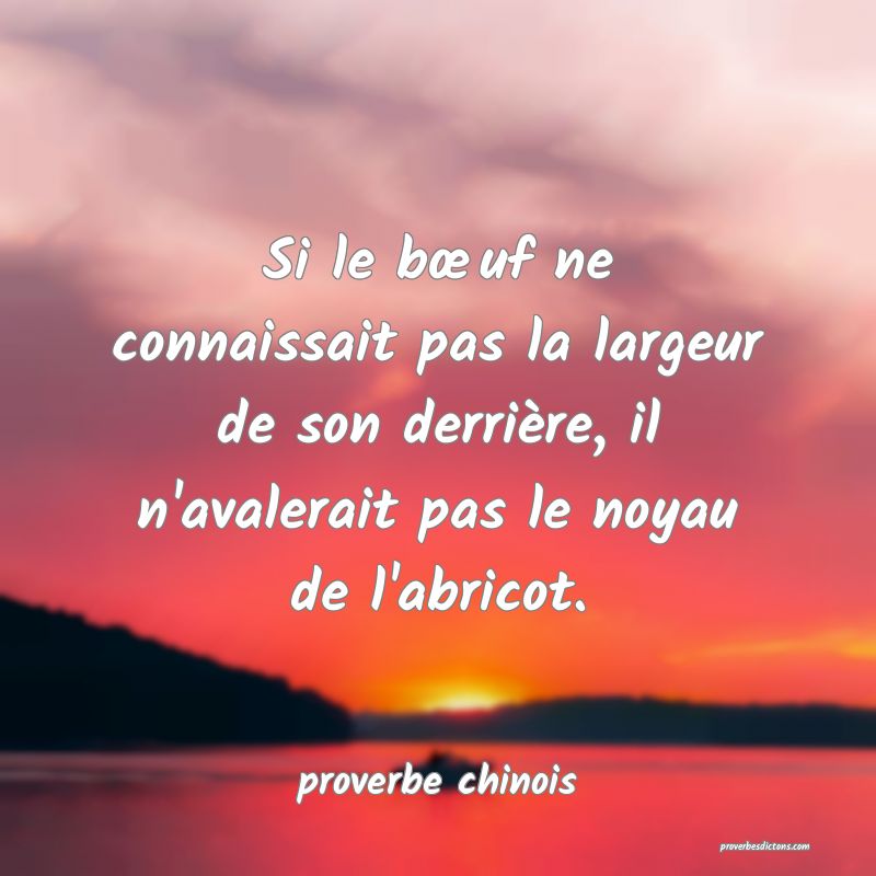Si le bœuf ne connaissait pas la largeur de son derrière, il n'avalerait pas le noyau de l'abricot.