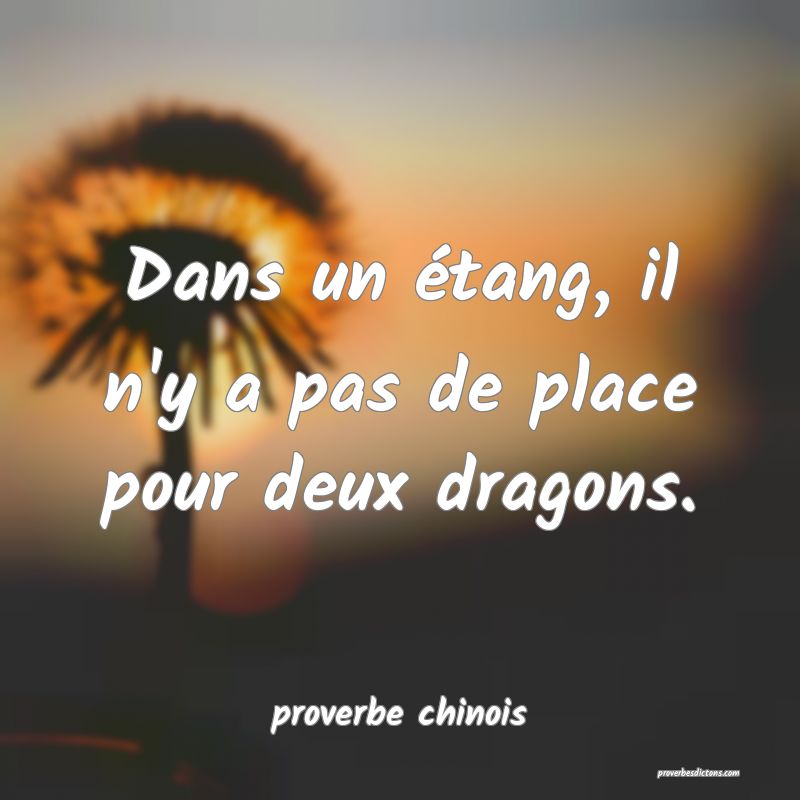 Dans un étang, il n'y a pas de place pour deux dragons.