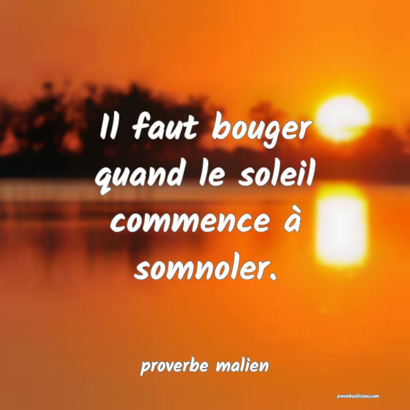  Il faut bouger quand le soleil commence à somnoler.