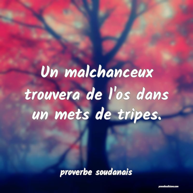 Un malchanceux trouvera de l'os dans un mets de tripes.