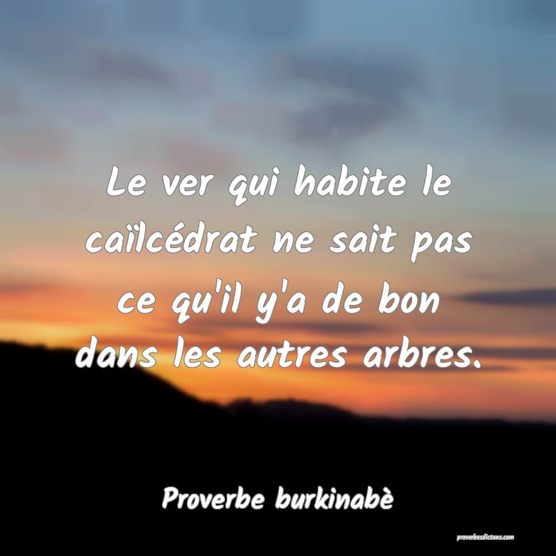  Le ver qui habite le caïlcédrat ne sait pas ce qu'il y'a de bon dans les autres arbres.