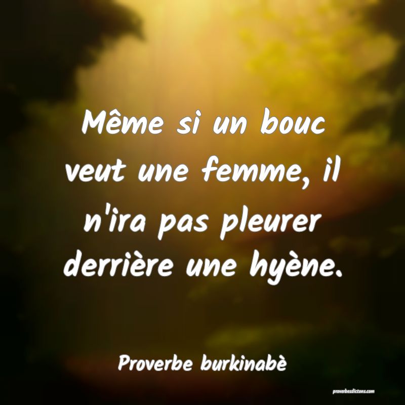 Même si un bouc veut une femme, il n'ira pas pleurer derrière une hyène.