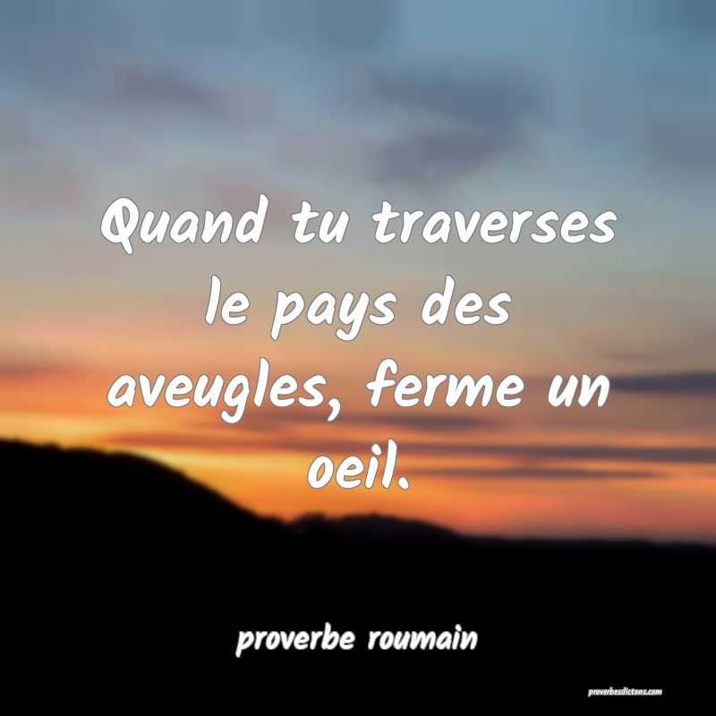  Quand tu traverses le pays des aveugles, ferme un oeil.