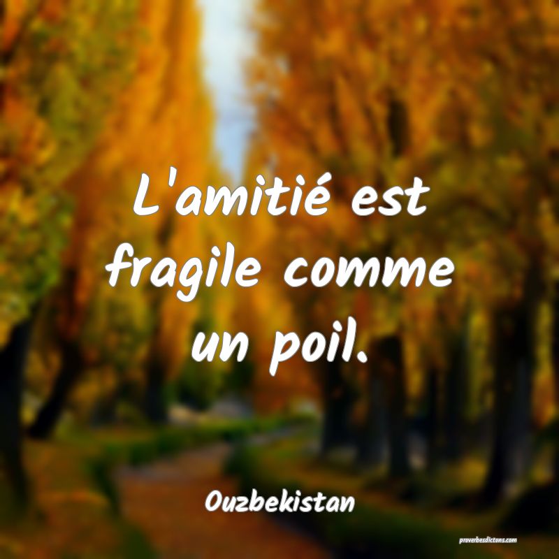  L'amitié est fragile comme un poil.
