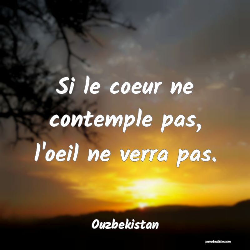  Si le coeur ne contemple pas, l'oeil ne verra pas.