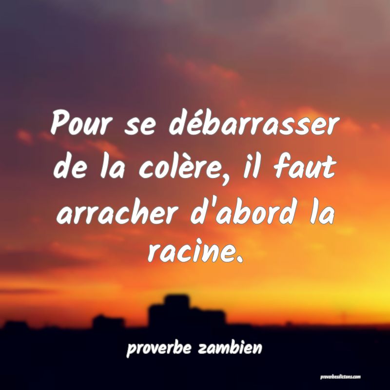  Pour se débarrasser de la colère, il faut arracher d'abord la racine.