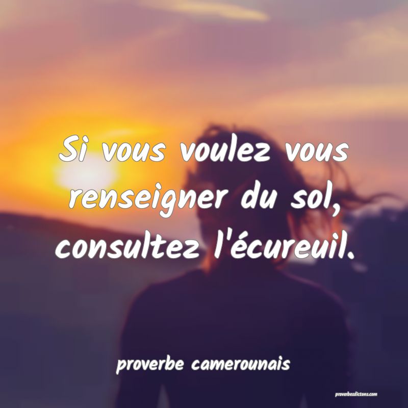 Si vous voulez vous renseigner du sol, consultez l'écureuil.