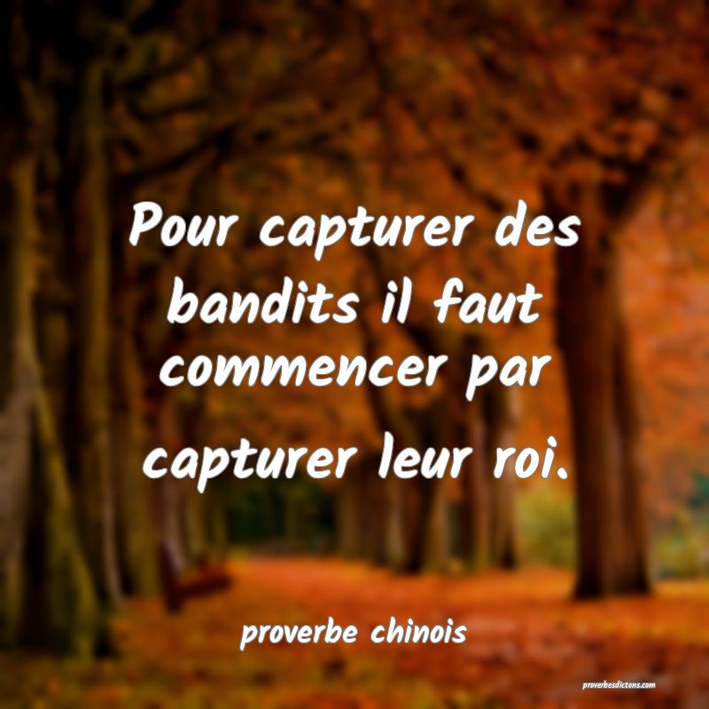  Pour capturer des bandits il faut commencer par capturer leur roi.