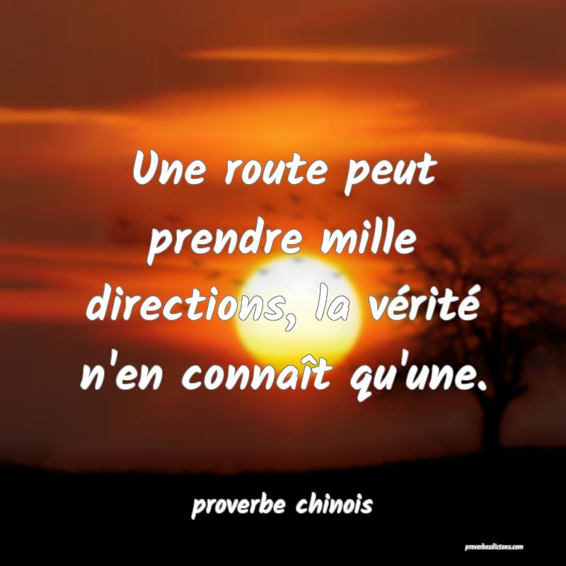  Une route peut prendre mille directions, la vérité n'en connaît qu'une.