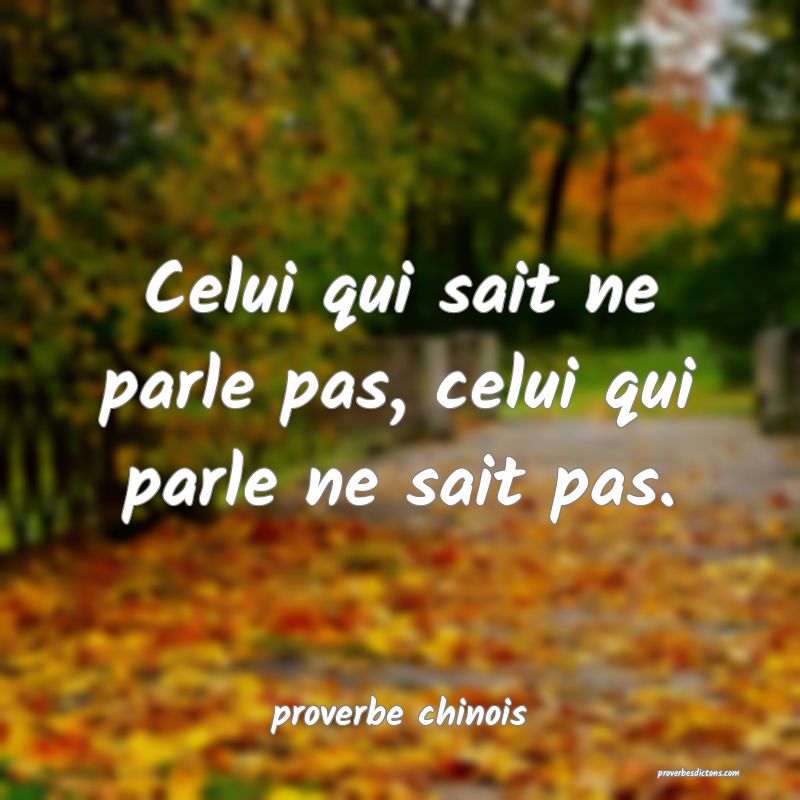  Celui qui sait ne parle pas, celui qui parle ne sait pas.