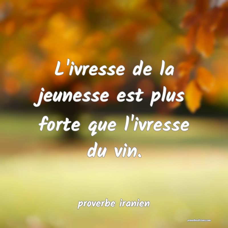  L'ivresse de la jeunesse est plus forte que l'ivresse du vin.