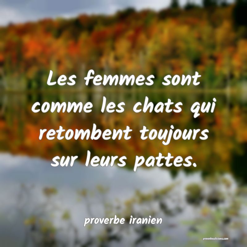  Les femmes sont comme les chats qui retombent toujours sur leurs pattes.