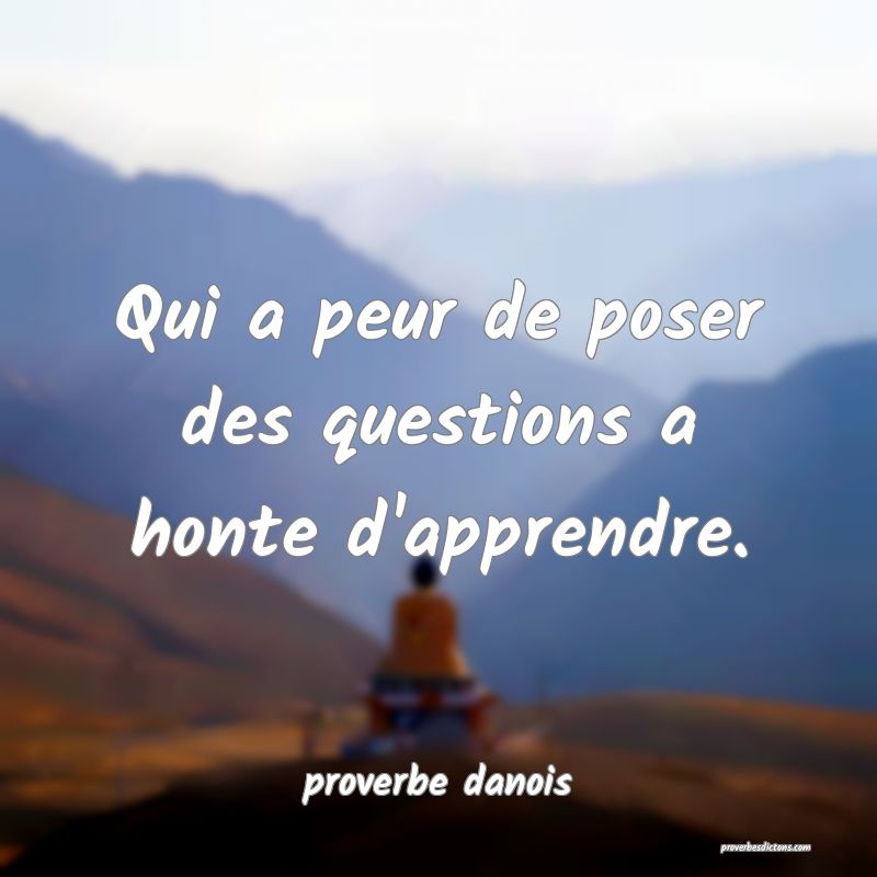 Qui a peur de poser des questions a honte d'apprendre.