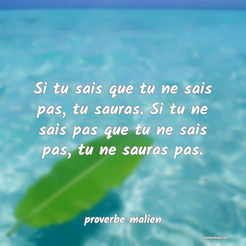  Si tu sais que tu ne sais pas, tu sauras. Si tu ne sais pas que tu ne sais pas, tu ne sauras pas.