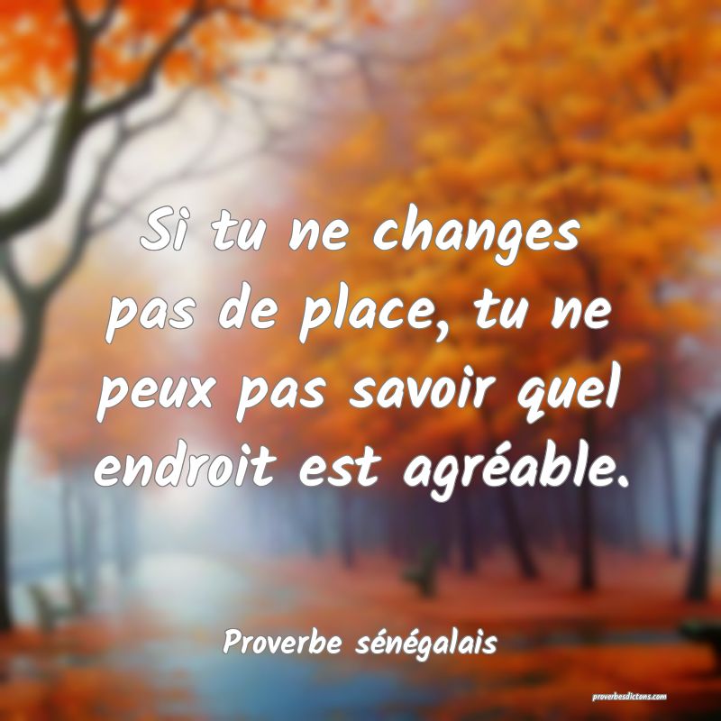  Si tu ne changes pas de place, tu ne peux pas savoir quel endroit est agréable.