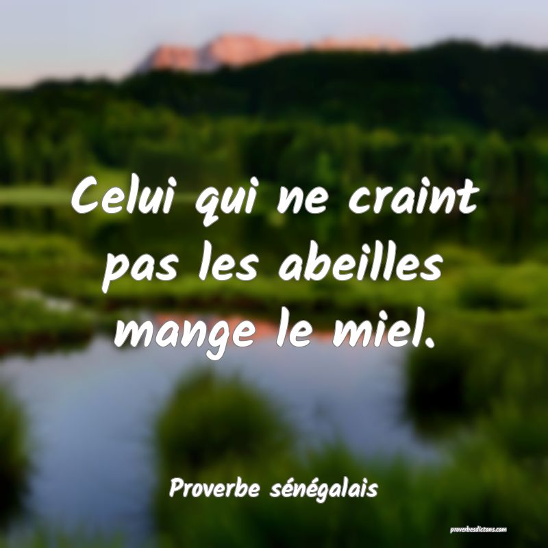  Celui qui ne craint pas les abeilles mange le miel.